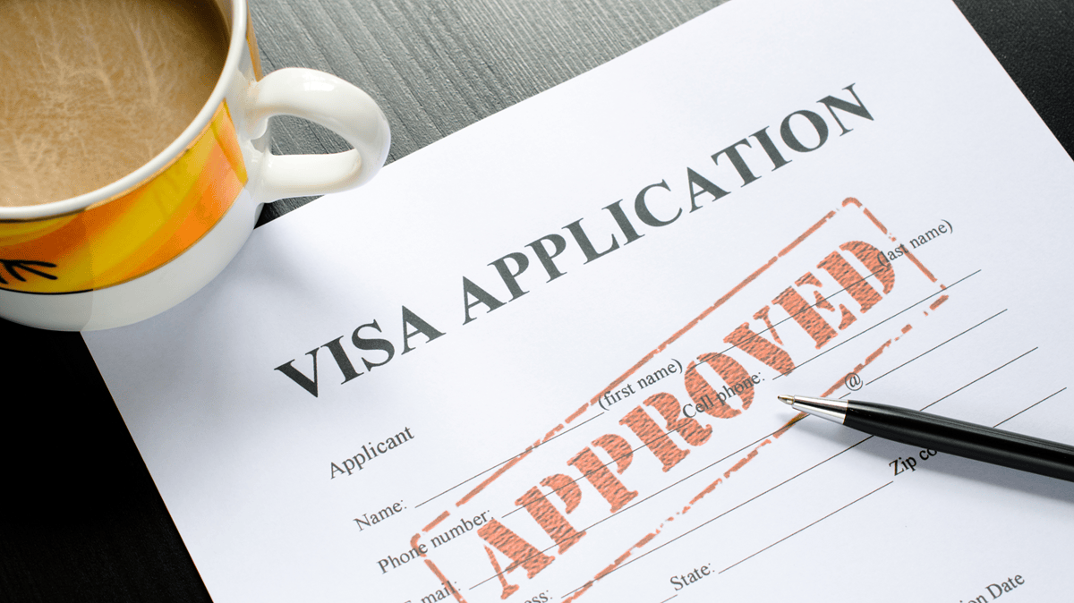 Visa Guidance and Assistance
